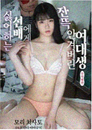 剧场版海贼王 黄金岛冒险 海报